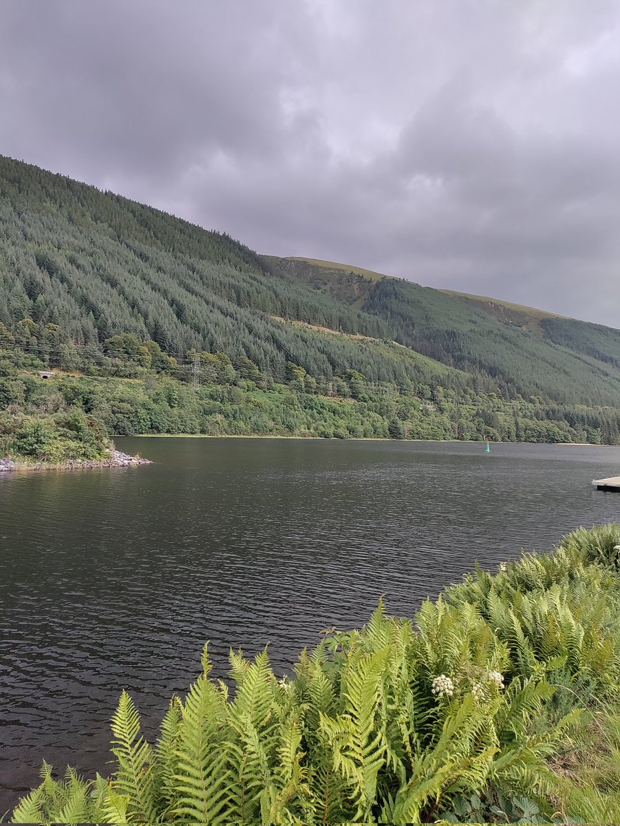 Trips | The Crypt School tweet media