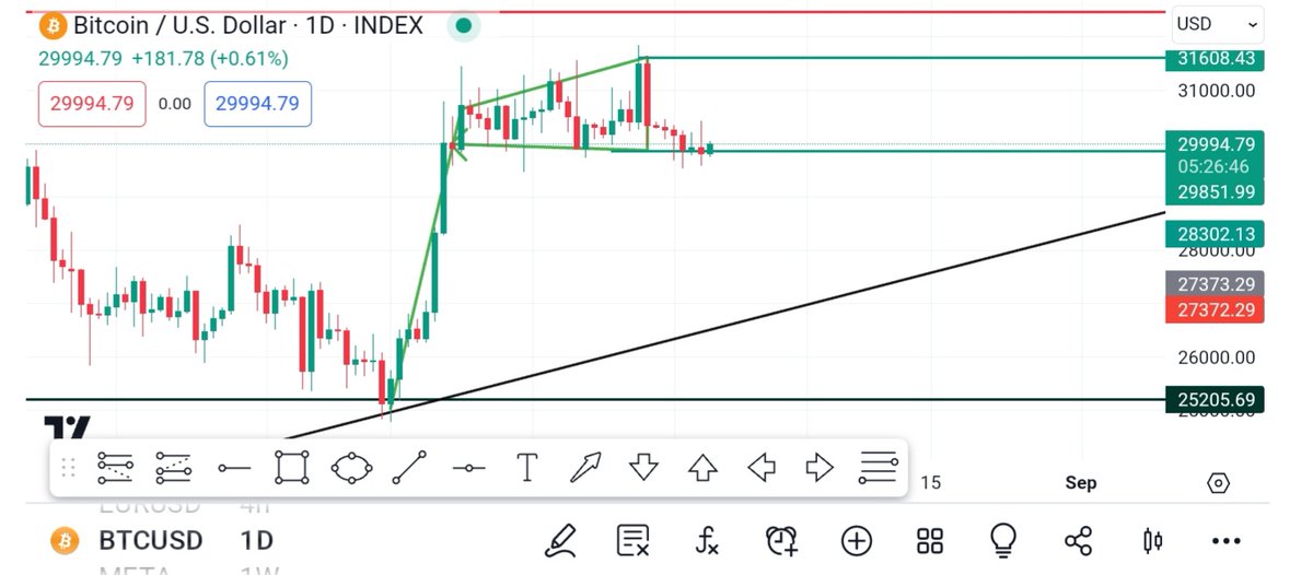 LitigationToken's tweet image. Bitcoin break and closed Below the pattern at 29994 what sign is this? #cryptocurrency #memecoins #Bitcoin #binance #Crypto