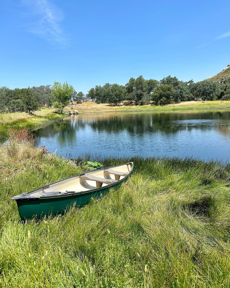 rosecole's tweet photo. Lazy days of Summer at the ranch! 

It took me two years to rehabilitate this pond ecosystem that had not maintained by the previous owners. The many hours and hard work was SO worth it! 

Having the element of water nearby is so healing and brings a sense of serenity to the Ranc https://t.co/gvEXg46XY7