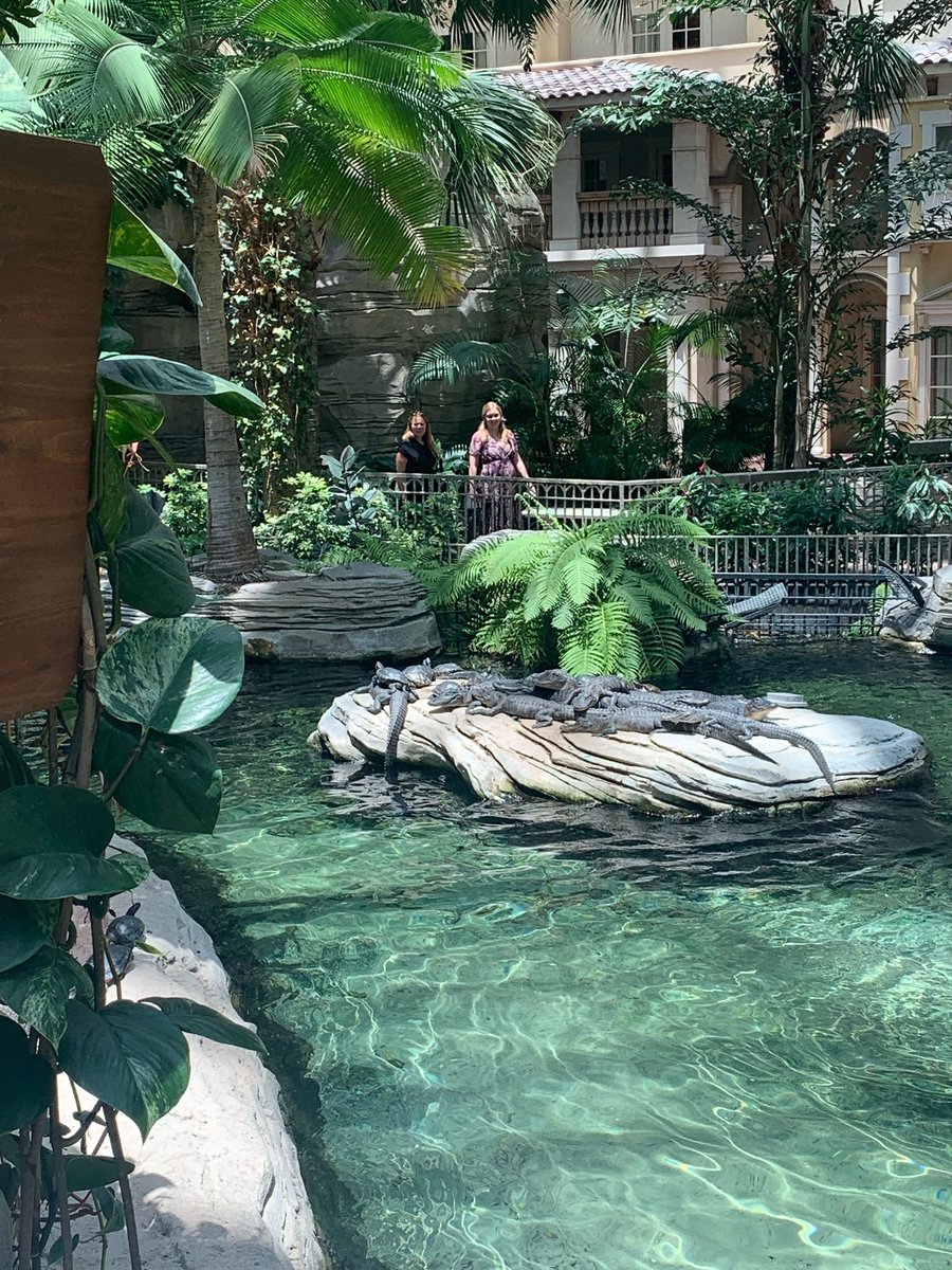 Yolanda Bell tweet media