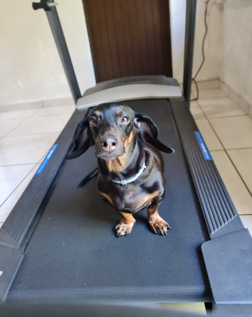 Bea_Roldan's tweet photo. @noticias4vision Lola haciendo ejercicio 💪🏻 😎 https://t.co/fNaBJ5no7Y