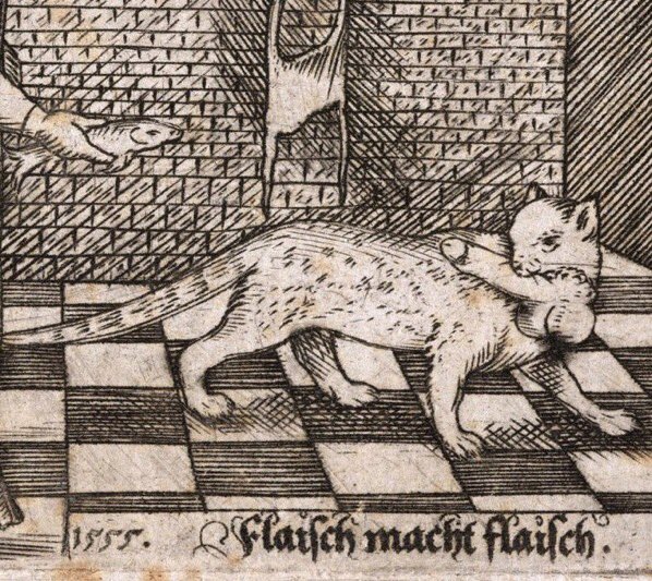 bad cat, germany, 15th century