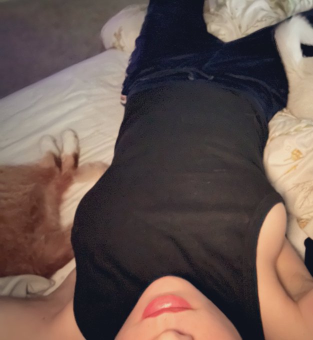 Just my Kitty and doggie, velvet sweats and not my tank top https://t.co/ybdcSSTGrn<a href="/tag/26january"class="tags"><span>#26january</span></a><a href="/tag/accountants"class="tags"><span>#accountants</span></a>