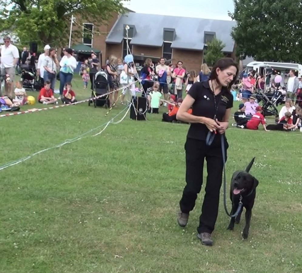 Stephanie Presdee on Twitter "A great opportunity to be grabbed with