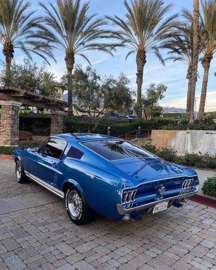 bigduke47's tweet image. #FastbackFriday 67 Masterpiece.. Too many factory blues in 67.. Acapulco here? If I’m wrong I’ll hear.😬 All good.