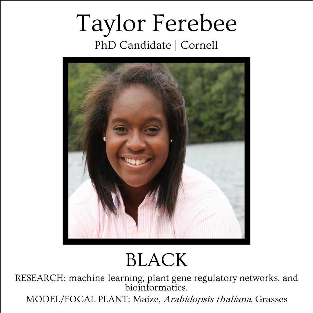 Front &amp; Center is proud to feature Taylor Ferebee, PhD Candidate at Cornell. Taylor focuses on using bioinformatics tools like machine learning to study plant gene regulatory networks. @Ferebee2phd