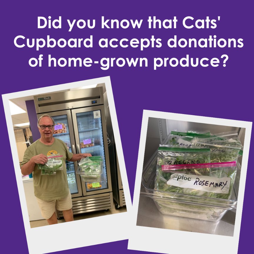 Larry is a volunteer at Cats' Cupboard and has donated fresh herbs straight from his garden! We will accept fresh, uncut produce and garden herbs that are individually packaged. Thanks to all our donors who share their home-grown produce!