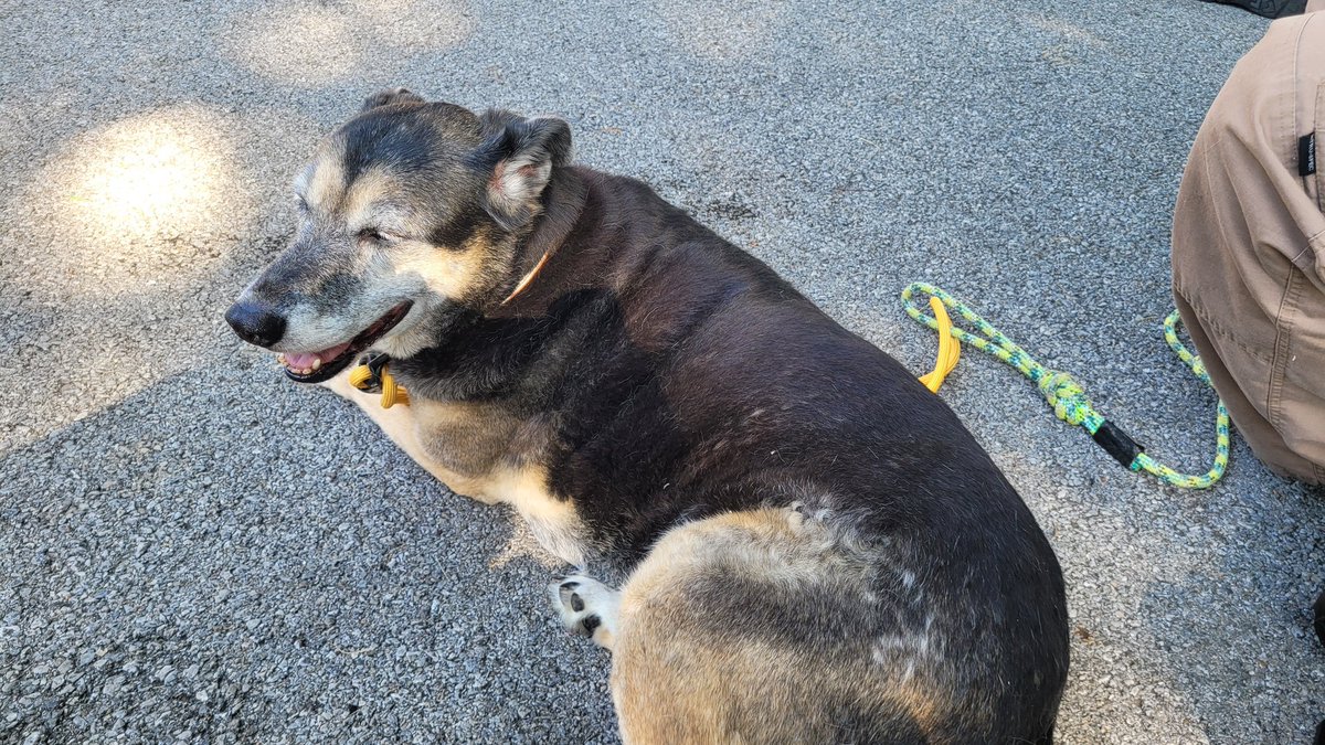 ETColCarter's tweet image. I enjoyed visiting the Scouts at Day Camp with Hardin County SAR and Hart Couty SAR.