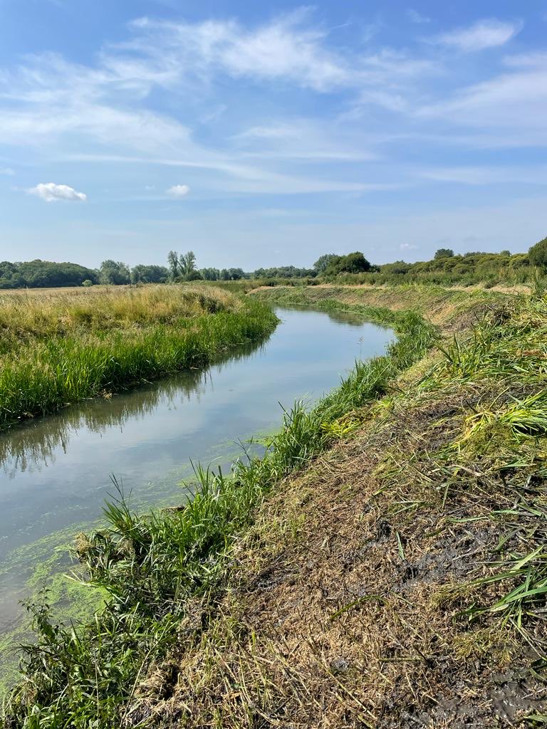#TeamEA have started in channel weed cut on the #LittleStour near #BlueBridge #Grove  

⁦<a href="/EnvAgencySE/">Environment AgencySE</a>⁩ ⁦<a href="/ADA_updates/">ADA</a>⁩ ⁦<a href="/KentishStourCP/">Kentish Stour CP</a>⁩