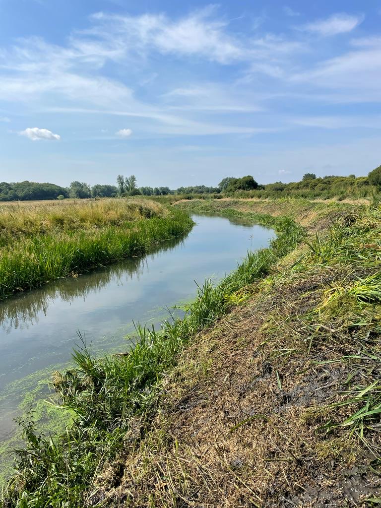 #TeamEA have started in channel weed cut on the #LittleStour near #BlueBridge #Grove  

⁦@EnvAgencySE⁩ ⁦@ADA_updates⁩ ⁦@KentishStourCP⁩