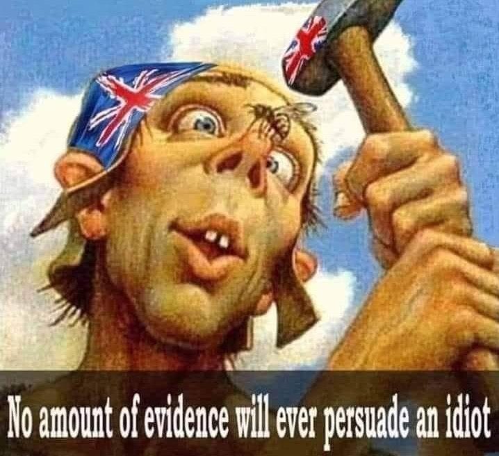 cymbal_martin's tweet photo. @toryboypierce Which #JohnsonTheLiar introduced๐
๐คฃ๐
Last night you were 495 votes away from a total wipeout. 4-9-5 Have a night off will you #ToryHack #ToryLapDog #torymedia https://t.co/DJedvmsnnu