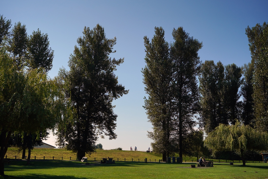 Check out our birding itinerary in Abbotsford at BCBirdTrail.ca! 🌾🐦️
#BCBirdTrail #LookUpStayGrounded #ExploreBC #BCNice #ExploreAbbotsford