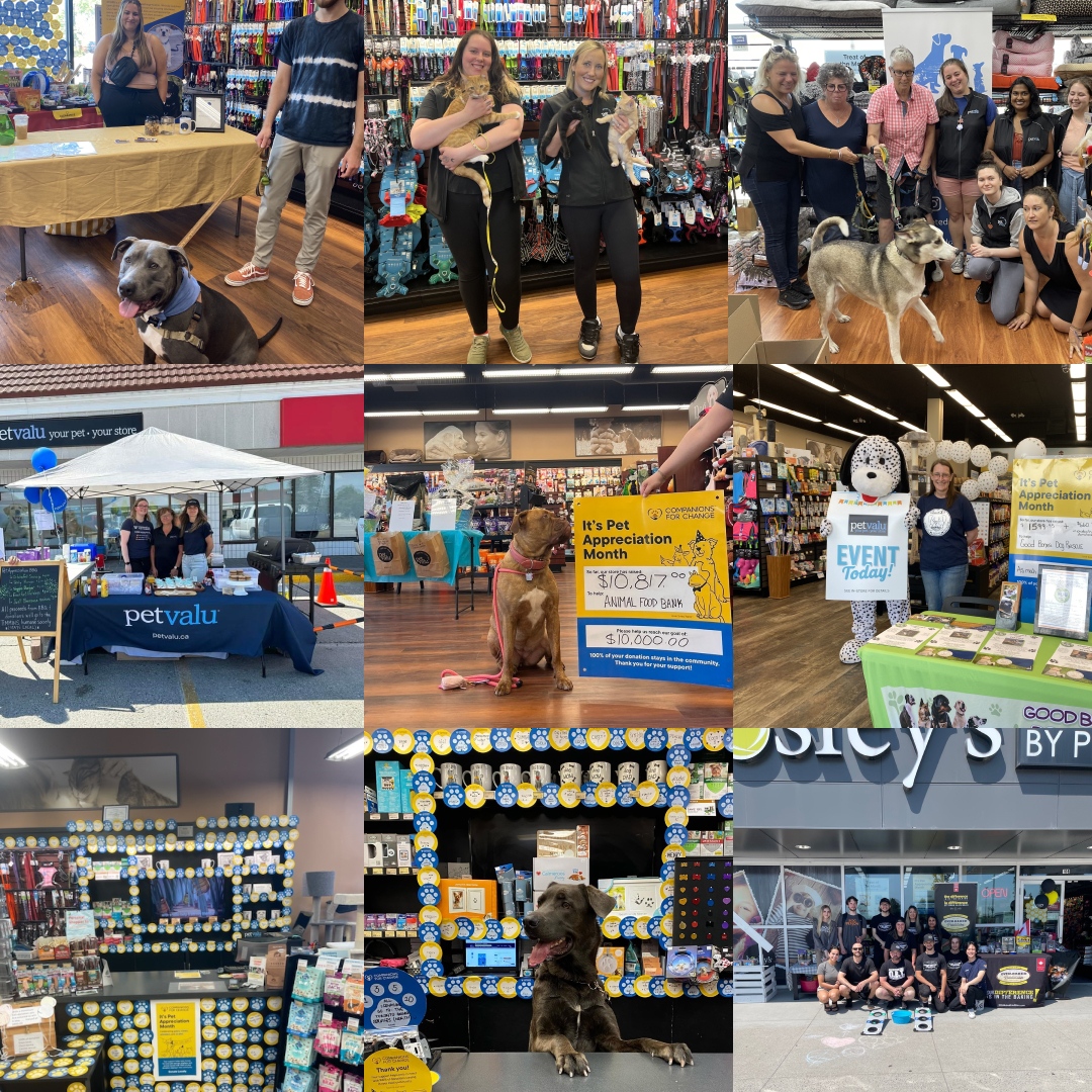 This year we celebrated the best Pet Appreciation Month so far 💙 thanks to the incredible support from you and our Animal Care Experts, we've raised $1.75M across Canada! 🎉

#PetAppreciationMonth #CompanionsforChange #PetRescue #NationalAdoptionWeekend