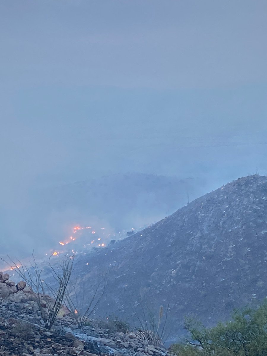 azstateforestry's tweet photo. #AdamsRoblesComplex: Per the Cochise County SO, SET lifted for residents between Interstate 10, Dragoon and Touchstone Roads. Residents should use caution as crews continue to work w/n Robles Fire-area.
More info: https://t.co/ARFFTmLTc0
#AZFire #AZForestry #CochiseCounty https://t.co/jduLIO3ZgD
