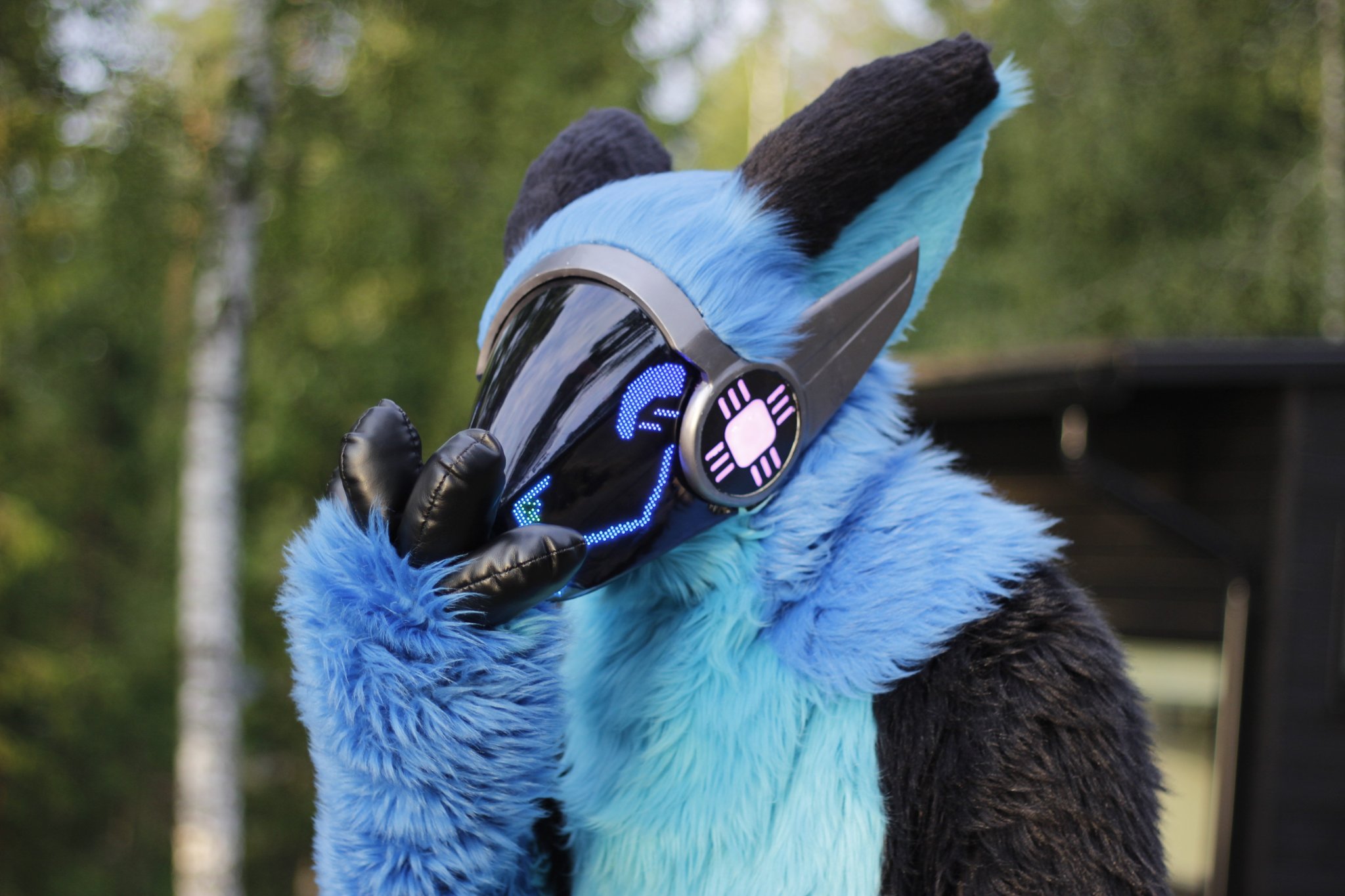 Bitti on X: Feeling cute this #fursuitfriday #furry #fursuit