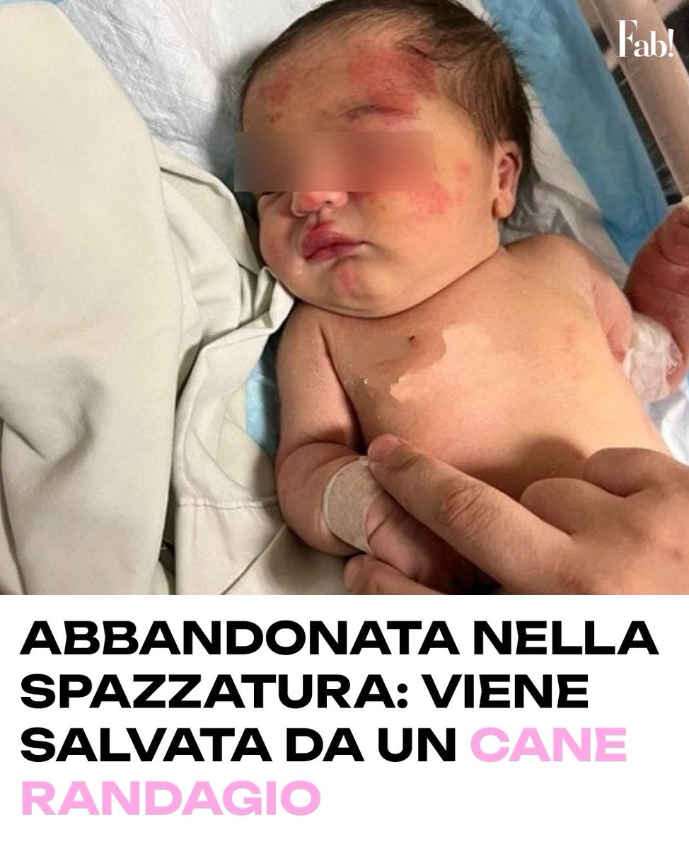 E questo sono i cani ...anime meravigliose...buona cena🤗🍷🍷