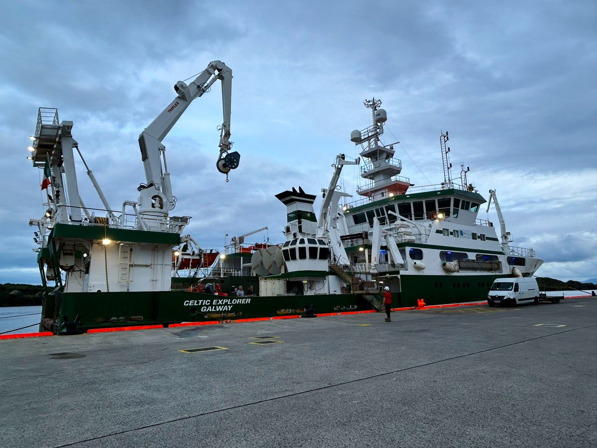 Nil Irvalı tweet media