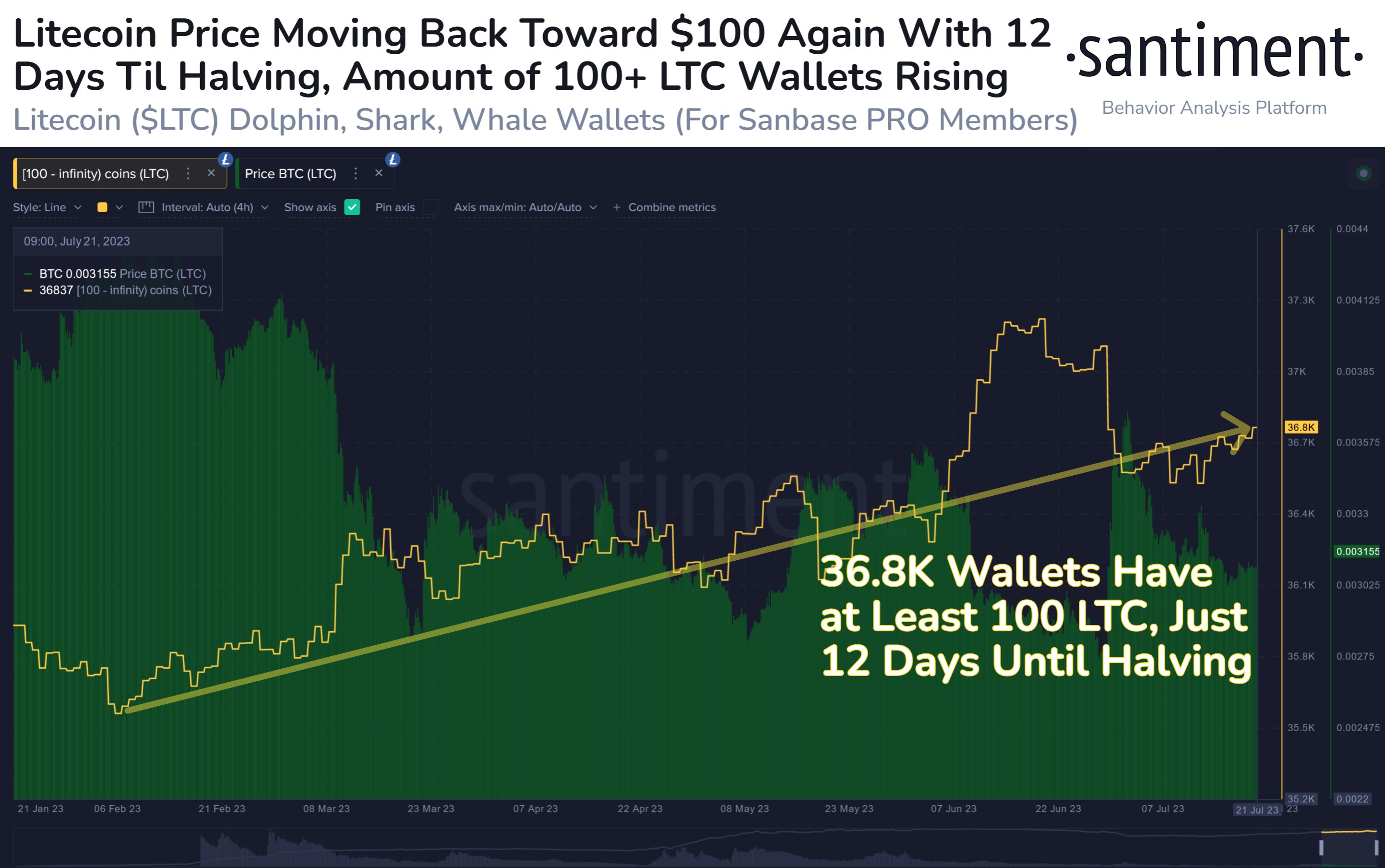 Litecoin Continues To See Adoption As Halving Only 10 Days Away