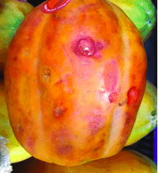 Miguel Salvador Adriano tweet media