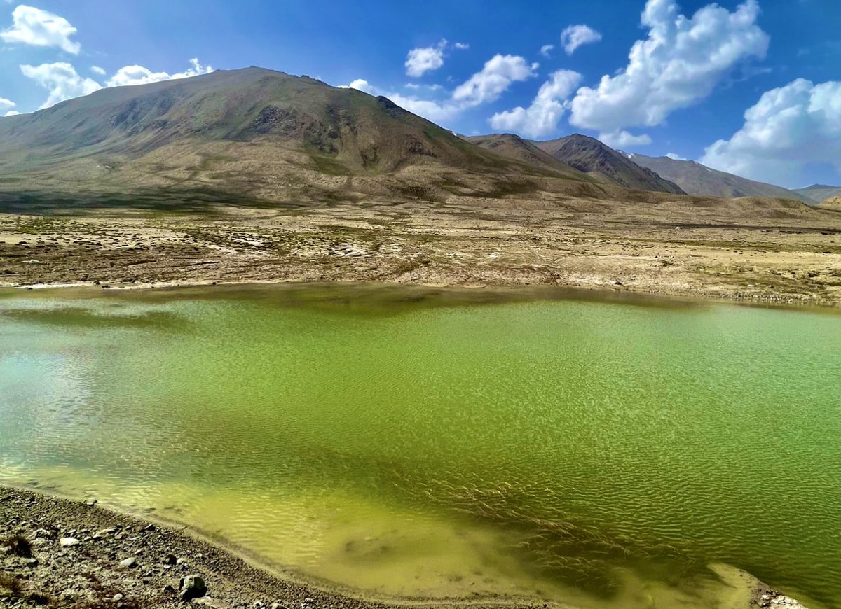 Claude Béglé tweet media