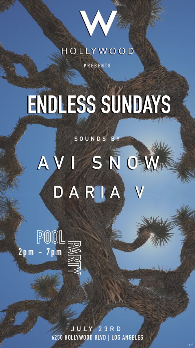 Avi Snow tweet media