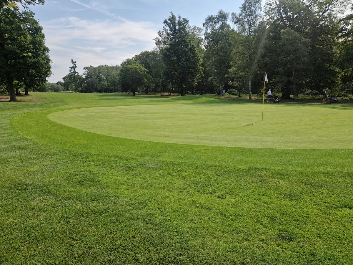 A year in at Sherfield Oaks Golf Club, really happy with where the surfaces are at the moment. Lots of work to do but making good progress. Nice program on greens from agronomic services and floratine. #golf #coursemangement #greenkeeping
#getgolfing 

<a href="/GetGolfingCM/">Ross Jones</a>
