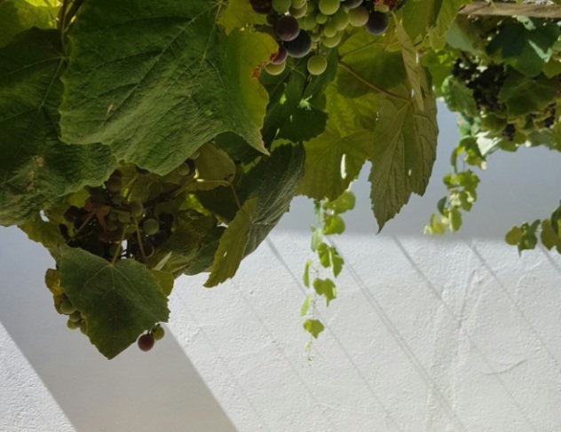 BabethFrLisboa's tweet image. Investissez dans l'#immobilier avec Élisabeth Maron de #KWSelect #Lisbonne 
kwportugal.pt/elisabeth.pinh…