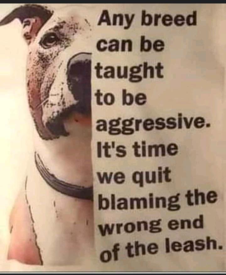 🐾🐾💯💯💯💯💯💯💯💯💯🐾🐾