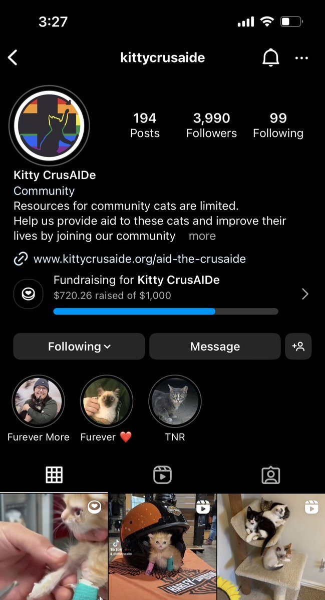 benotafraidddd's tweet photo. @poorlycatdraw also consider donating to the rescue if you can! https://t.co/GsU89kHqox