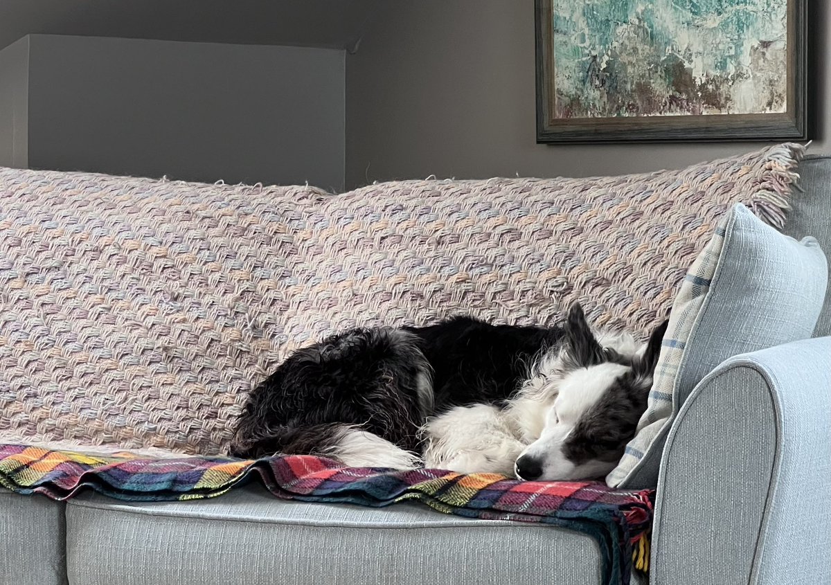 Rosemary Moon 👩‍🍳🥃🌶 tweet media