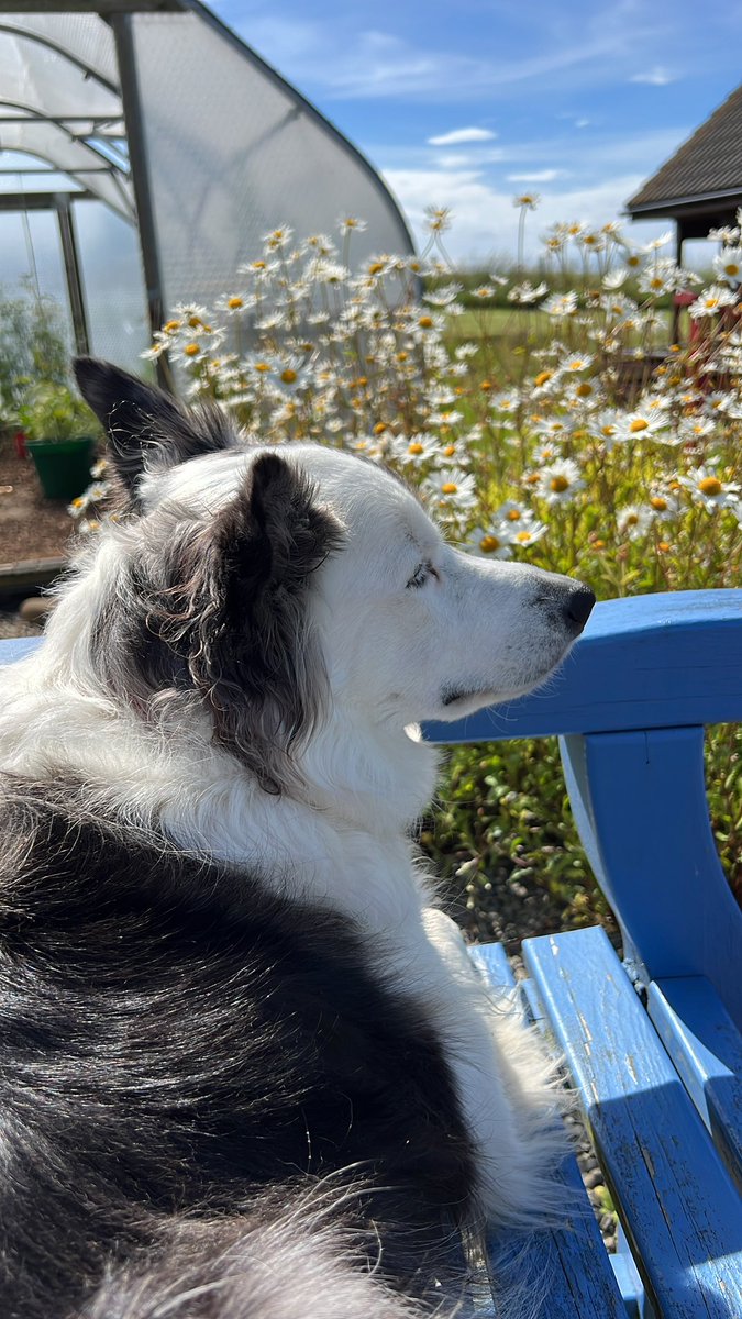 Rosemary Moon 👩‍🍳🥃🌶 tweet media