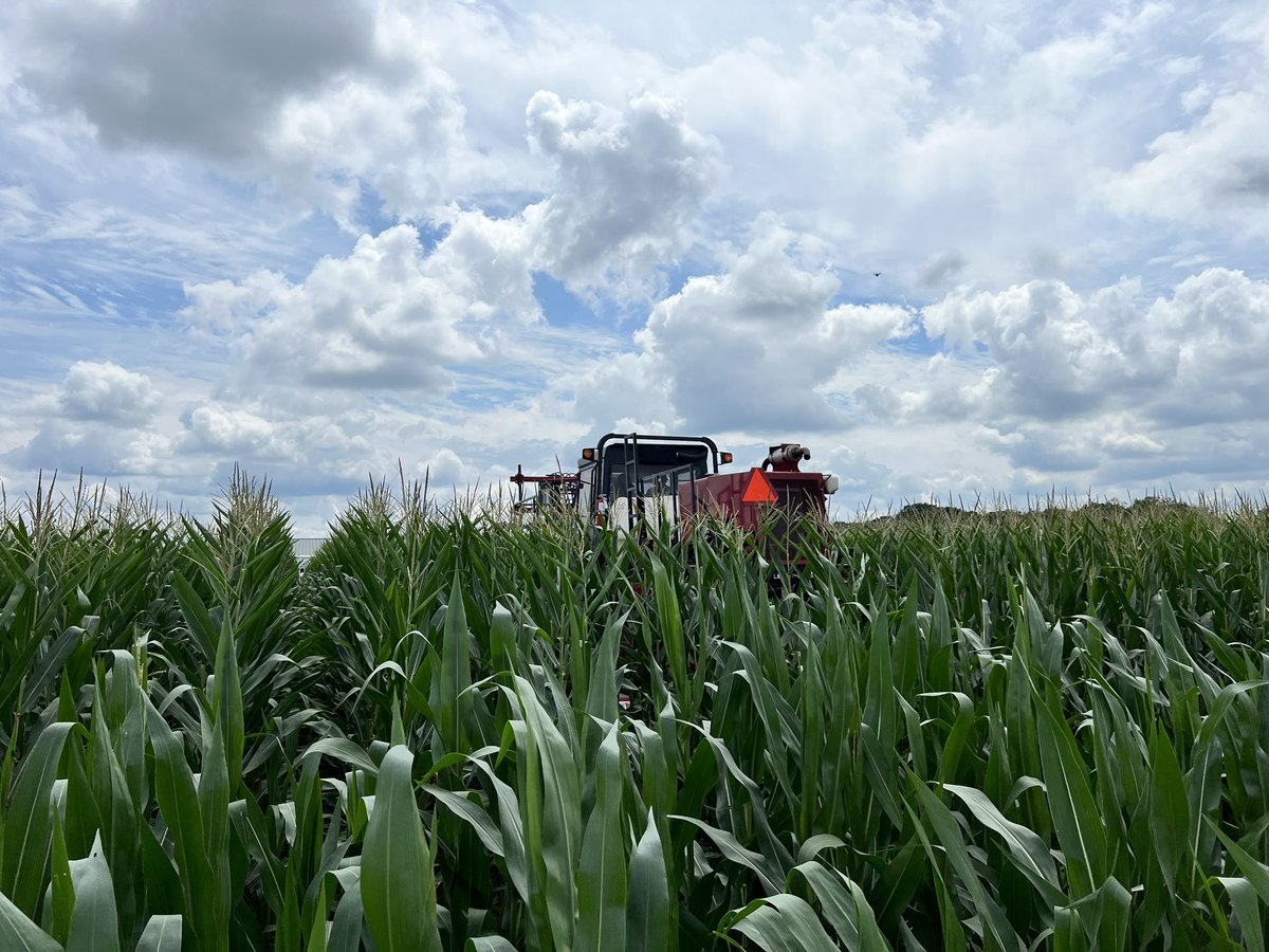 Dan Quinn (@purduecorn) on Twitter photo R1 Fungicide treatments going out in our <a href="/INCornFarmers/">Indiana Corn</a> funded intensive mgmt and grain fill assessment/duration research trial. Big thanks to <a href="/DTelenko/">Darcy Telenko</a> team for the help.
<a href="/M_Bartaburu/">Malena Bartaburu</a> <a href="/PurdueAg/">Purdue Agriculture</a> <a href="/PurdueAgronomy/">Purdue Agronomy</a> R1 Fungicide treatments going out in our <a href="/INCornFarmers/">Indiana Corn</a> funded intensive mgmt and grain fill assessment/duration research trial. Big thanks to <a href="/DTelenko/">Darcy Telenko</a> team for the help.
<a href="/M_Bartaburu/">Malena Bartaburu</a> <a href="/PurdueAg/">Purdue Agriculture</a> <a href="/PurdueAgronomy/">Purdue Agronomy</a>