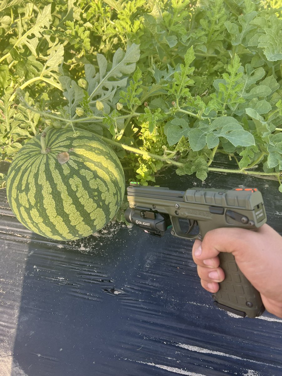 TRACTO 🚜 tweet media