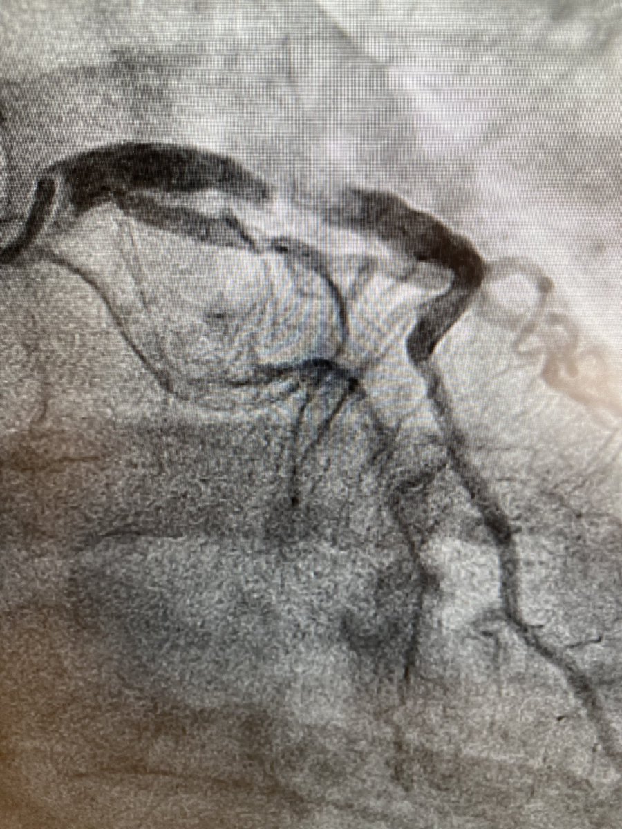 Michael Savage tweet media