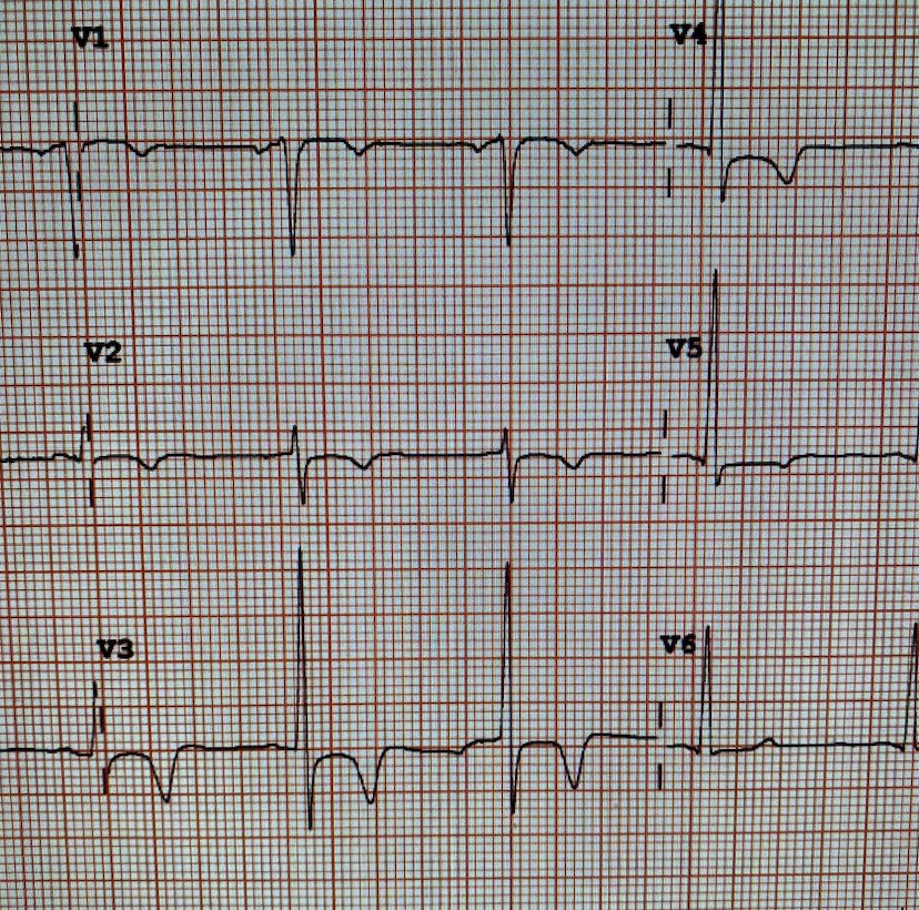 Michael Savage tweet media