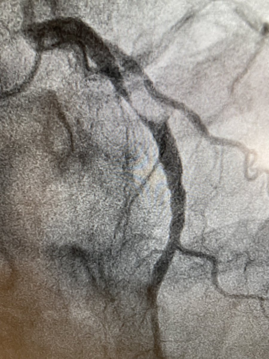 Michael Savage tweet media