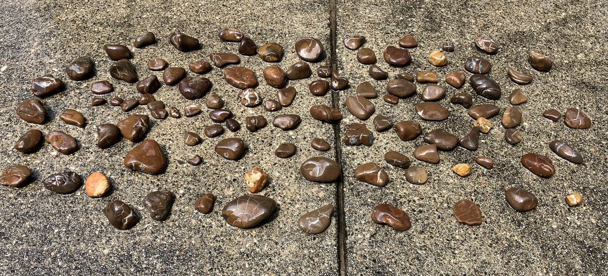 Today’s fun Michigan adventure: Pier Cove Beach near Fennville, where I collected scads of rare lightning stones. These ancient rocks (septarian nodules) are domestically found mainly only along this stretch of Mitten State shoreline. @MIBeachtowns @PureMichigan