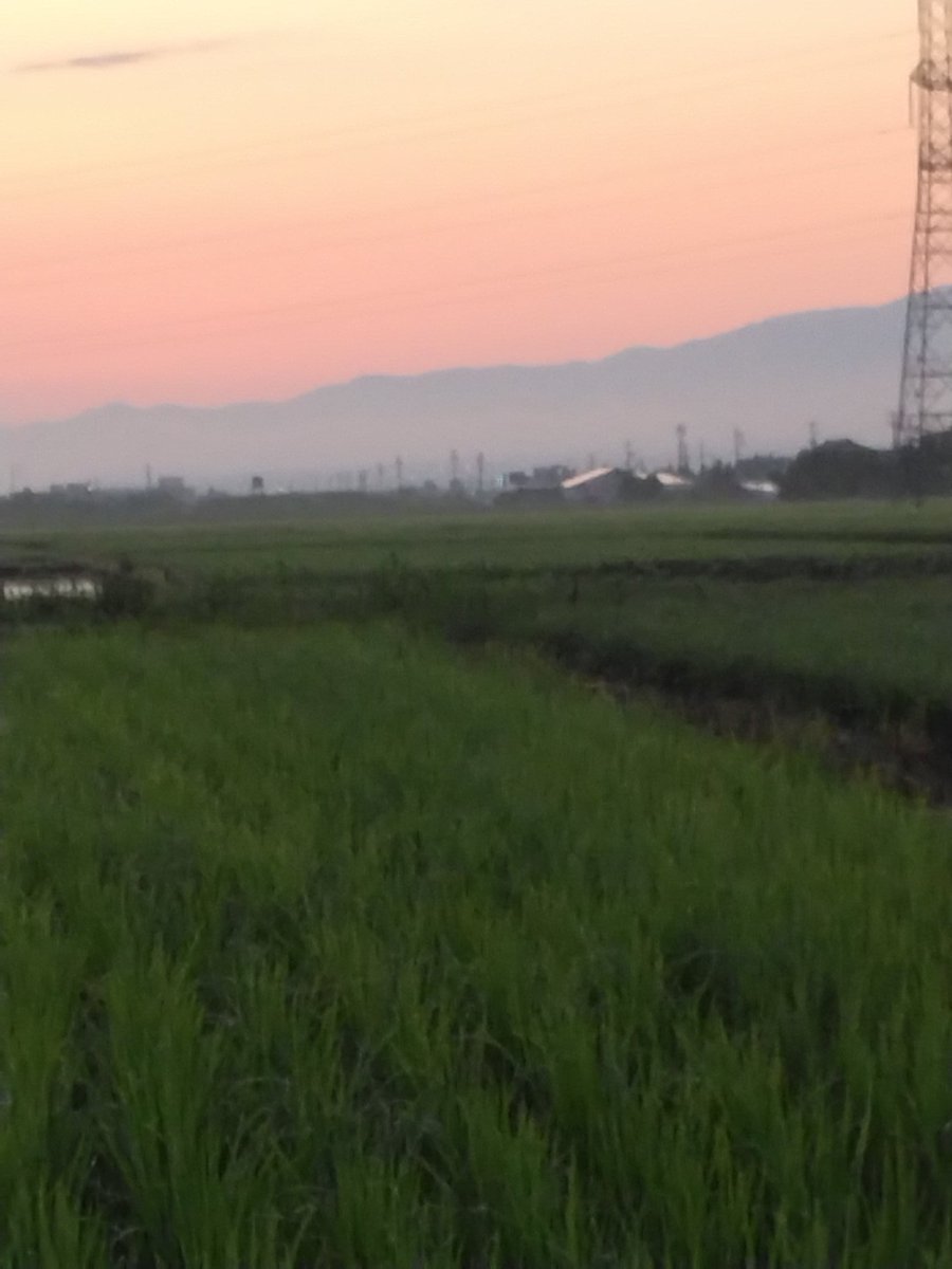 N29Kwi's tweet photo. おはようございます
今日は晴れ☀　何日かぶりかの更新 https://t.co/HbbJeqLS9g