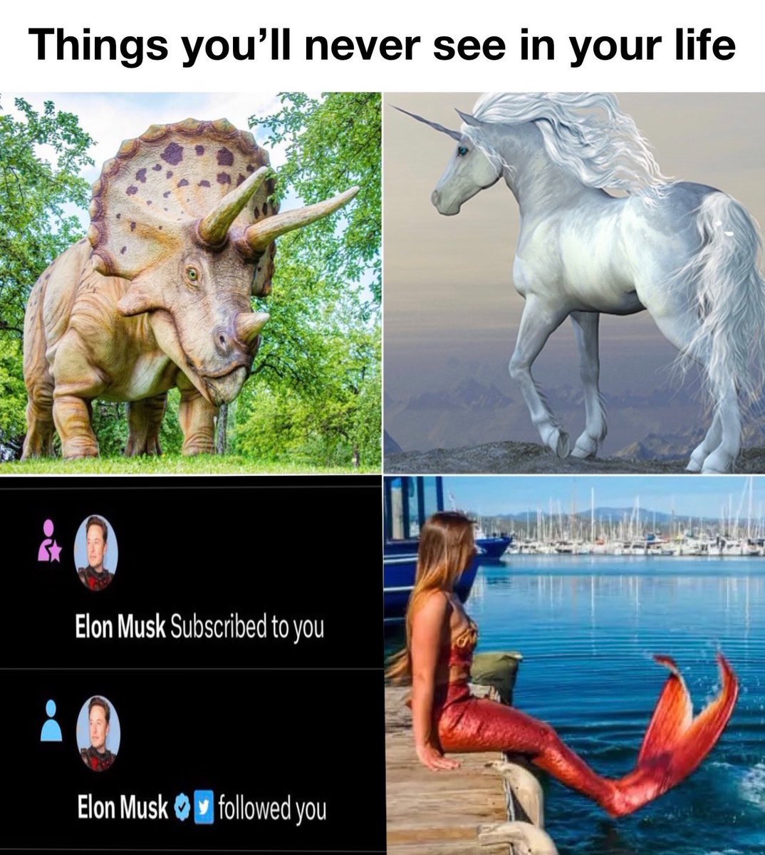 greg (@greg16676935420) on Twitter photo 