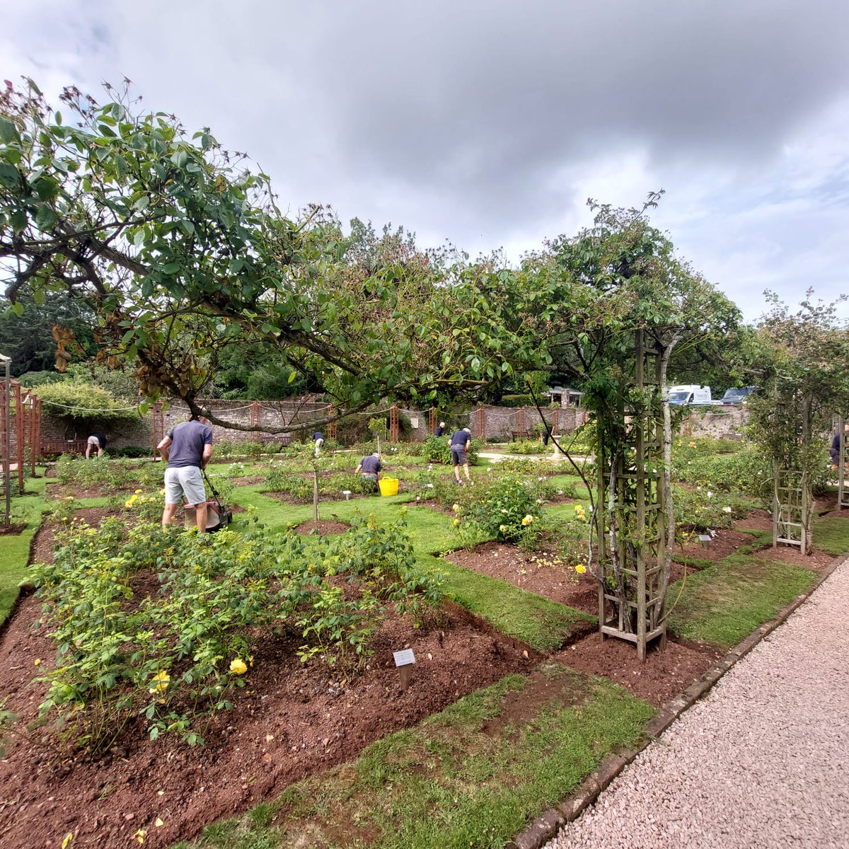 Cockington Park tweet media