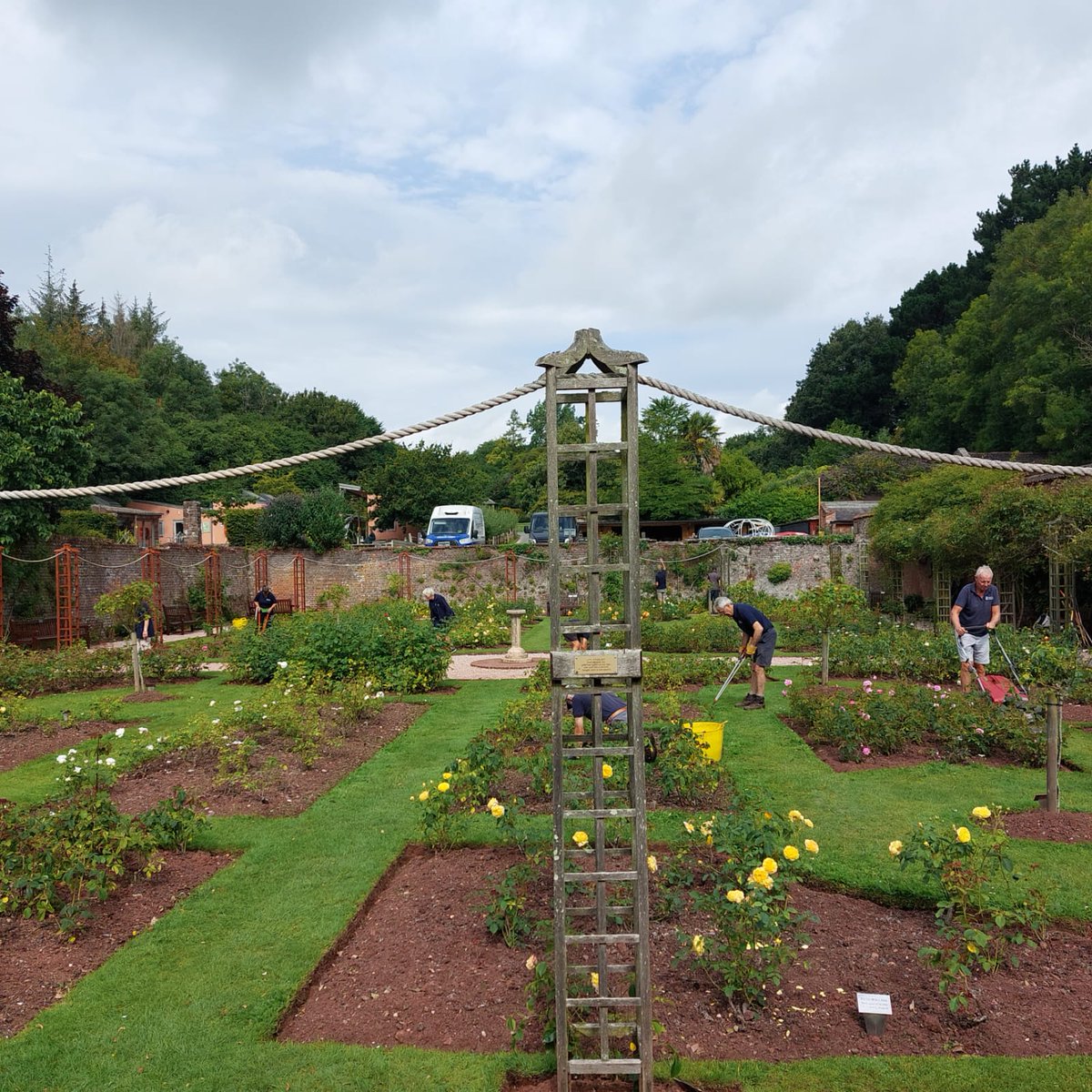 Our fantastic volunteers have been busy in the rose garden preparing it for a visit from the RHS Britain in Bloom judges this week. 🤞

#cockingtonrosegarden #rosegarden #rhsbritaininbloom #volunteering