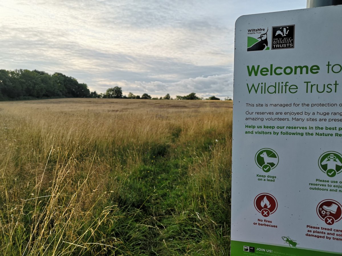 Livvy Drake tweet media