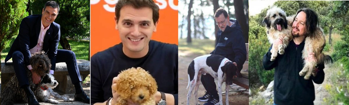 StephnDedalus16's tweet photo. Això dels polítics espanyols i els gossos és digne d'estudi. #SpanishPoliticians #PassionForDogs https://t.co/PeqON1lYZg