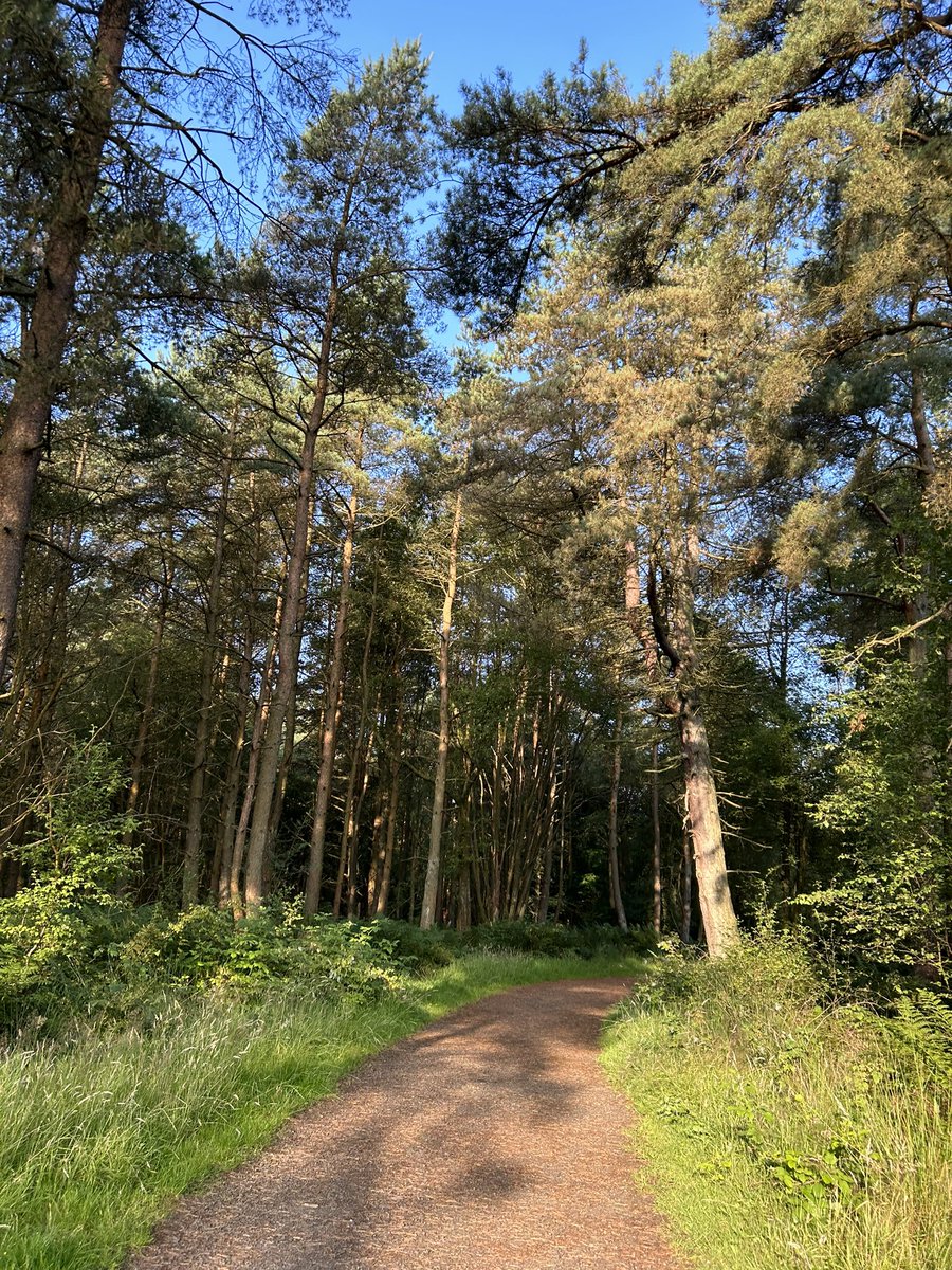 Early morning runs 🏃🏻‍♀️ nothing beats the morning sun, fresh air and a clear head to start your day. 
#halfmarathontraining #girlswhorun #scottishruns