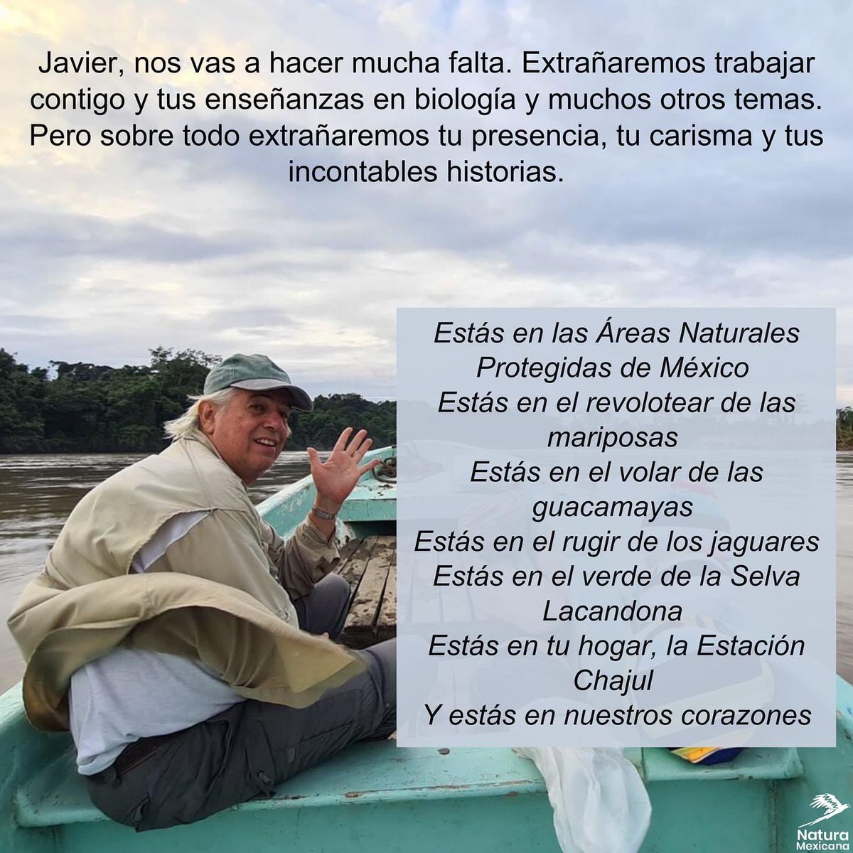 beca_MLFB's tweet photo. Lamentamos la partida del biólogo Javier de la Maza. Abrazo fraternal a Julia Carabias y a toda la familia de @NaturaMexicana. México no solo pierde al 1er comisionado d la @CONANP_mx, pierde a un comprometido con la naturaleza, las especies🦋y el planeta. Un ser humano ejemplar. https://t.co/T6qqpVKQDU