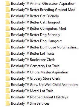 LizzyPeer100's tweet photo. @BosseladyTV 

Have you updated any of these mods since yesterday or today? I'm double checking mods for any updates. https://t.co/Gu3YdeF4vE