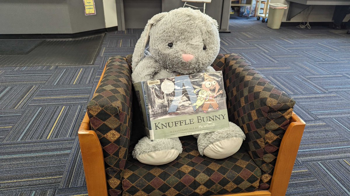 GeneseeLibrary's tweet photo. The Stuffed Animal Crew spent a relaxing day reading some books;  can you think of a better way to spend time at Library Sleep Away Camp?! https://t.co/2oXPjxAPWh
