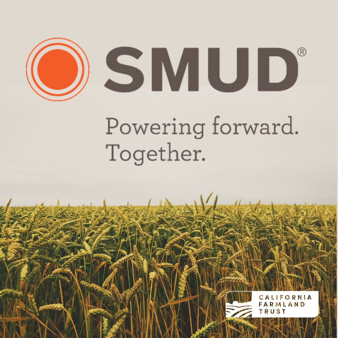 CaFarmTrust's tweet photo. For 75 years, SMUD, has been committed to sustainable energy solutions and providing communities with reliable electricity⚡

Thank you, @SMUDUpdates for years of unwavering support for  our mission to help farmers protect the best farmland in the world.

https://t.co/lRDGewW4Sd https://t.co/PPMZn5vuww