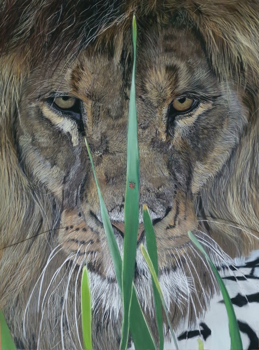 The past ,,wip'' post...I hope to finished him soon...pastels on pastelmat 70x50cm
#wipartwork #artinprogress #pastelpencils #animaldrawing #wildlifepainting #lionslover