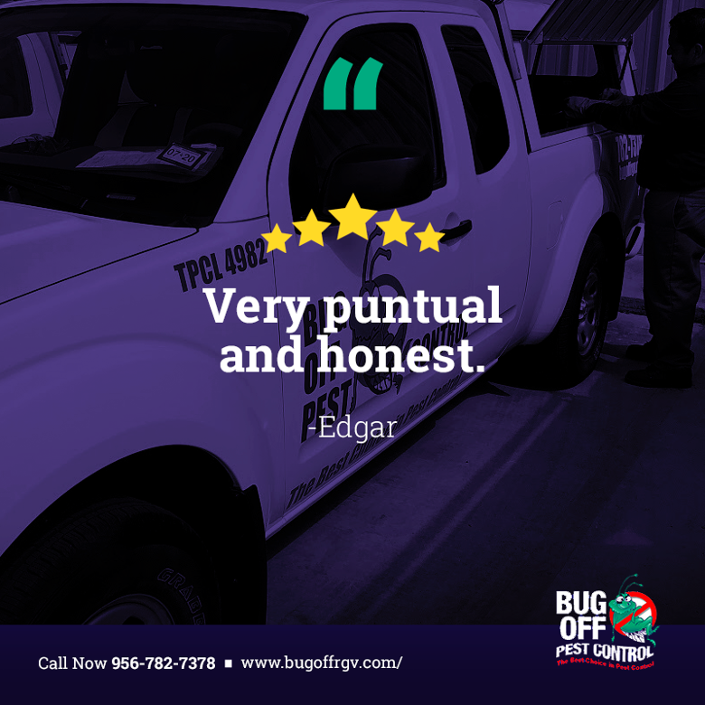 BugOffRGV's tweet image. Thank you for your kind words, Edgar! We pride ourselves on our punctuality and honesty. If you ever need reliable pest control services, don't hesitate to reach out to us. Contact us today to schedule an appointment and experience our exceptional service firsthand!